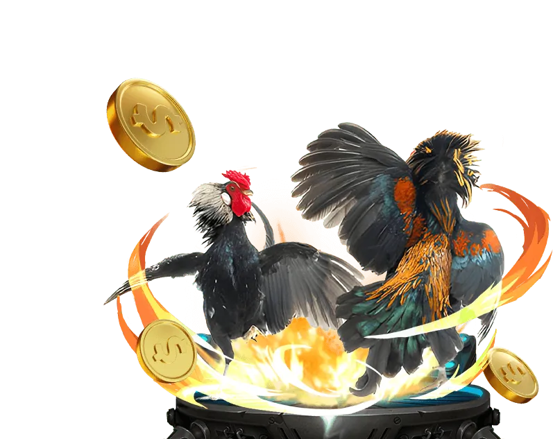 Các tính năng nổi bật của nền tảng Bong88